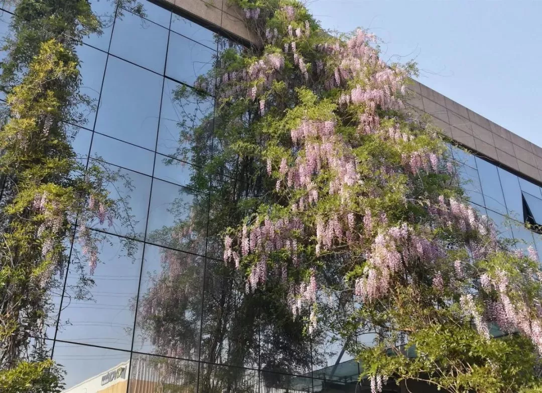 PYSW49OEILN3C{[1F_4ULG1.png PYSW49OEILN3C{[1F_4ULG1.png