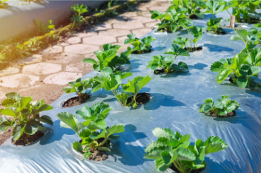 微信图片_20251031104817_329_4.png 微信图片_20251031104817_329_4.png